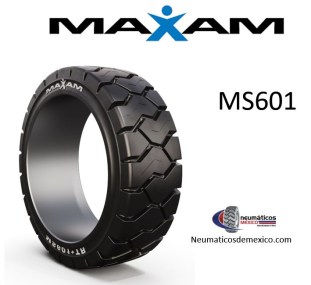 MAXAM MS601